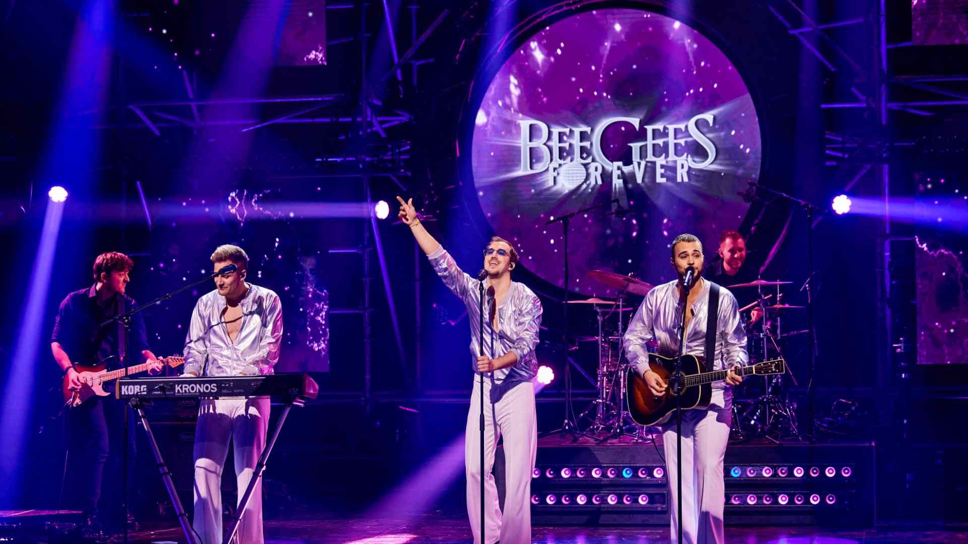 Afbeelding Bee Gees by MainCourse
